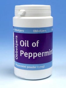 Peppermint Powder 170g