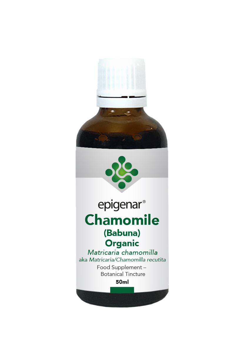 Chamomile (Babuna) Organic Tincture 50ml (Currently Unavailable)