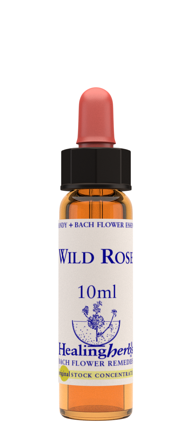 Wild Rose 10ml